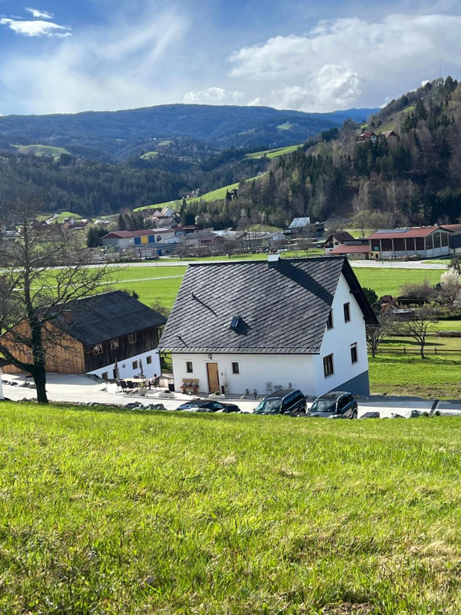 Sonnenschein Appartement- Und Ferienhaus Mit Terrasse Und Garten Eibiswald المظهر الخارجي الصورة